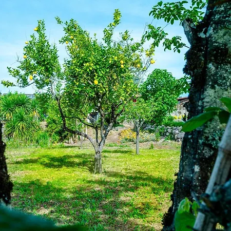 Casa Da Guarda De Fora * Paredes (Porto)