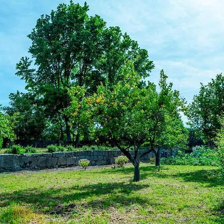 بيت للعطل Casa Da Guarda De Fora بارديس