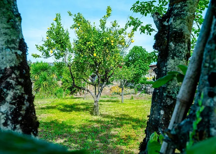 Casa Da Guarda De Fora * Paredes (Porto)