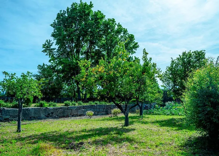 Дом отдыха Casa Da Guarda De Fora Паредеш